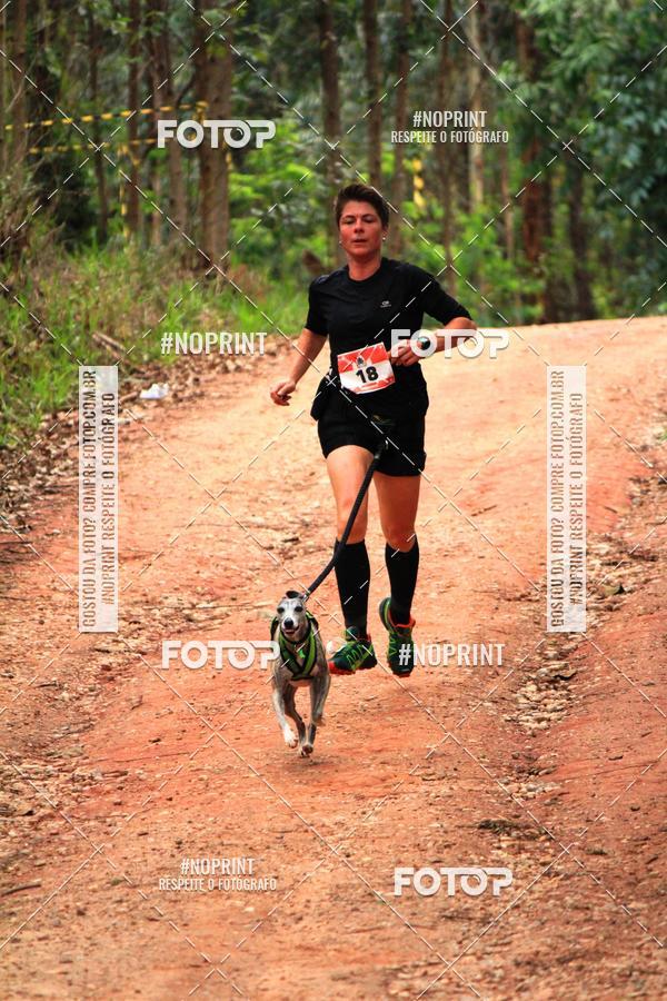 Buy your photos of the eventKaluan� Trail e Canicross - Irisphoto on Fotop