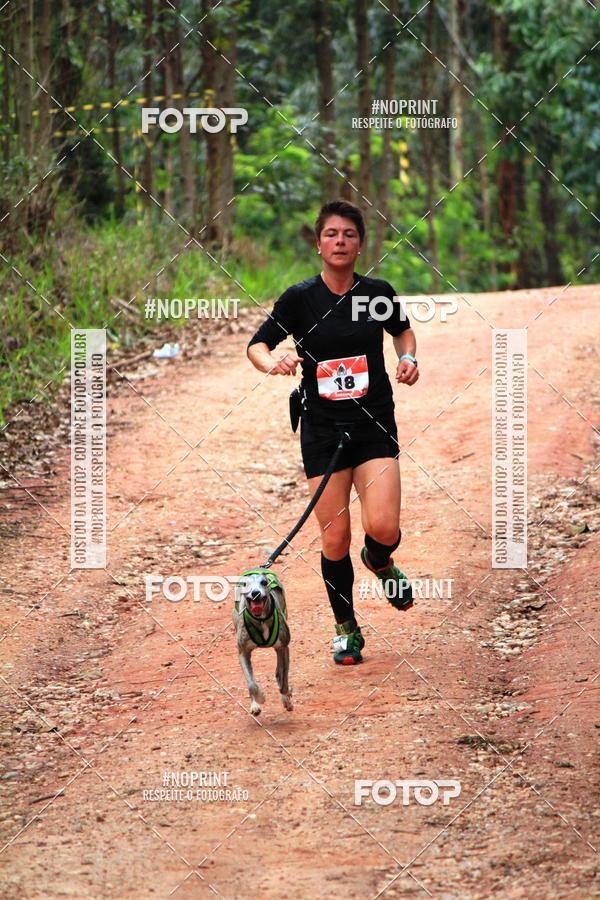 Buy your photos of the eventKaluan� Trail e Canicross - Irisphoto on Fotop