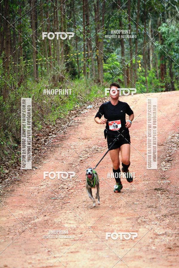 Buy your photos of the eventKaluan� Trail e Canicross - Irisphoto on Fotop