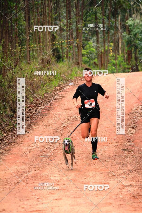 Buy your photos of the eventKaluan� Trail e Canicross - Irisphoto on Fotop