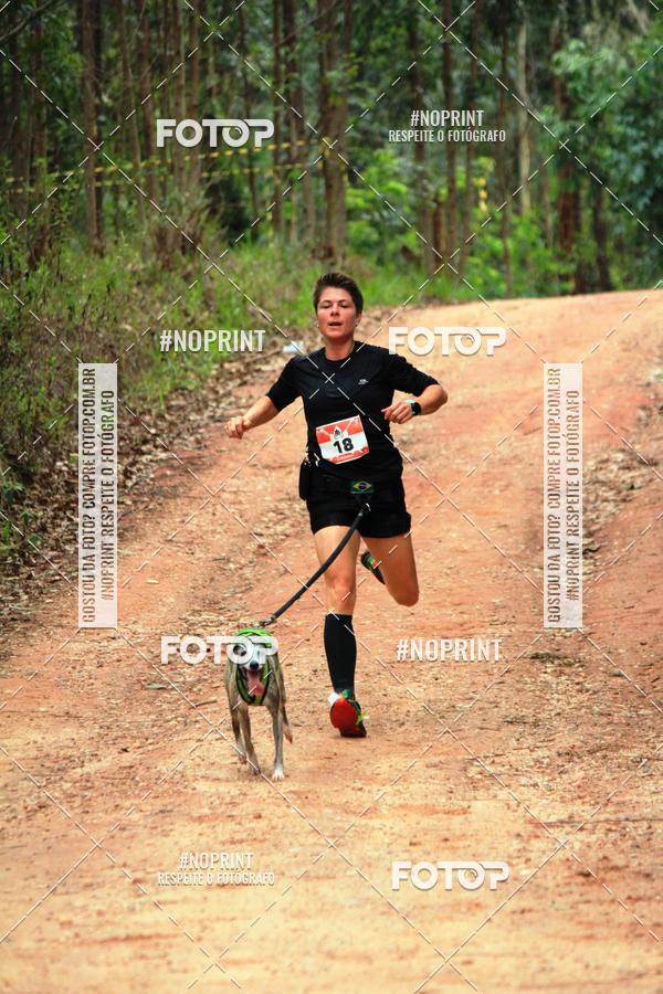 Buy your photos of the eventKaluan� Trail e Canicross - Irisphoto on Fotop