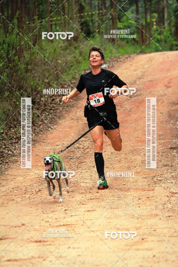 Buy your photos of the eventKaluan� Trail e Canicross - Irisphoto on Fotop