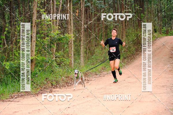 Buy your photos of the eventKaluan� Trail e Canicross - Irisphoto on Fotop