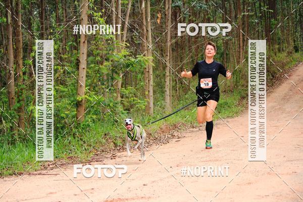 Buy your photos of the eventKaluan� Trail e Canicross - Irisphoto on Fotop