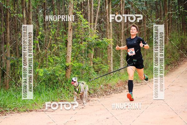 Buy your photos of the eventKaluan� Trail e Canicross - Irisphoto on Fotop