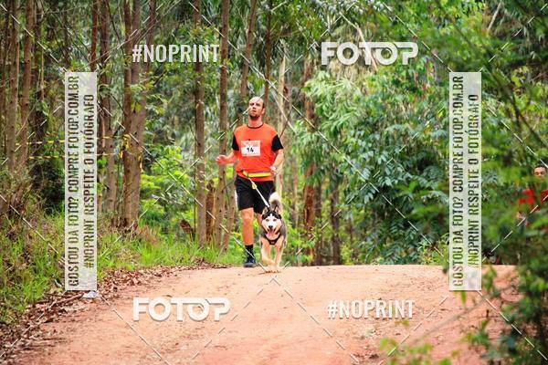 Buy your photos of the eventKaluan� Trail e Canicross - Irisphoto on Fotop