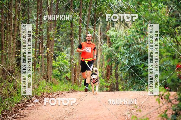 Buy your photos of the eventKaluan� Trail e Canicross - Irisphoto on Fotop