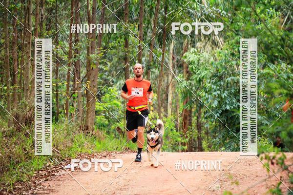 Buy your photos of the eventKaluan� Trail e Canicross - Irisphoto on Fotop