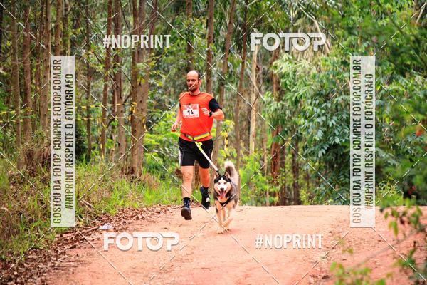 Buy your photos of the eventKaluan� Trail e Canicross - Irisphoto on Fotop