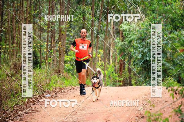 Buy your photos of the eventKaluan� Trail e Canicross - Irisphoto on Fotop