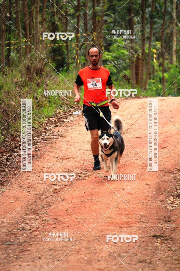 Buy your photos of the eventKaluan� Trail e Canicross - Irisphoto on Fotop