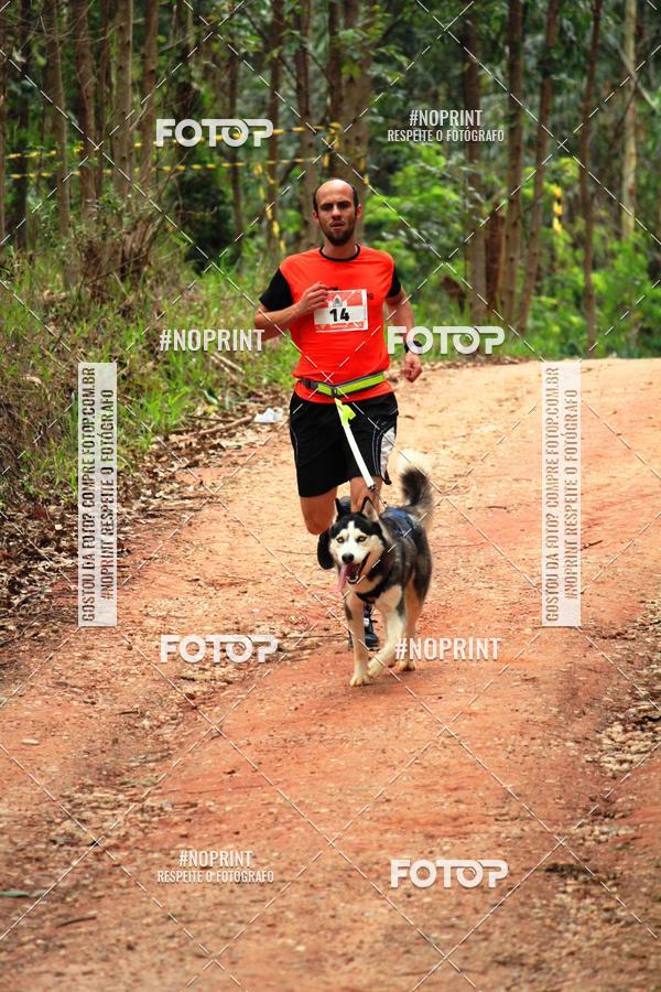 Buy your photos of the eventKaluan� Trail e Canicross - Irisphoto on Fotop