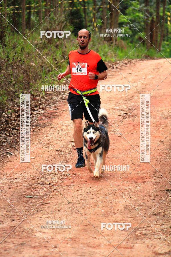 Buy your photos of the eventKaluan� Trail e Canicross - Irisphoto on Fotop