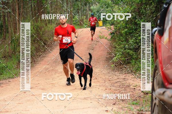 Buy your photos of the eventKaluan� Trail e Canicross - Irisphoto on Fotop