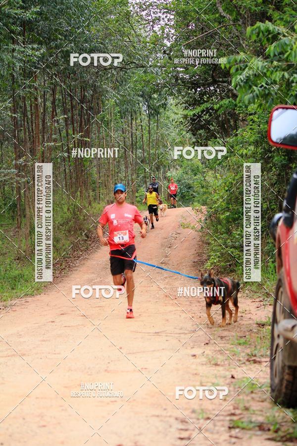 Buy your photos of the eventKaluan� Trail e Canicross - Irisphoto on Fotop