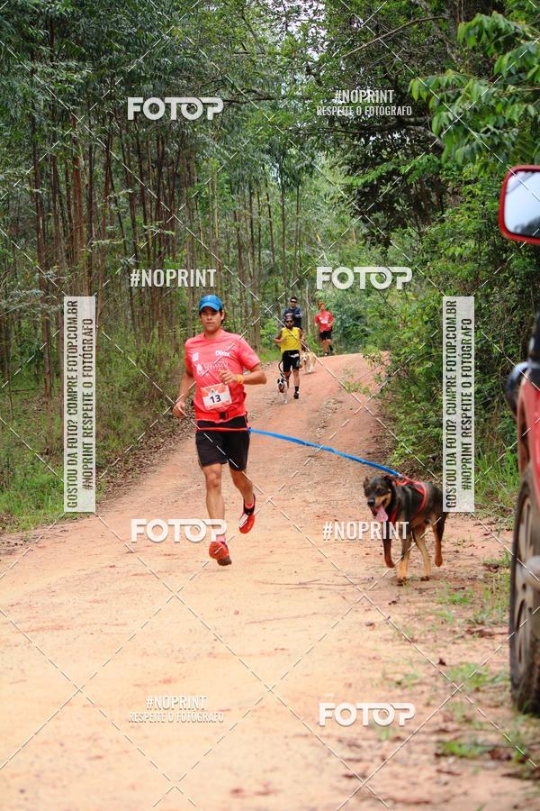 Buy your photos of the eventKaluan� Trail e Canicross - Irisphoto on Fotop