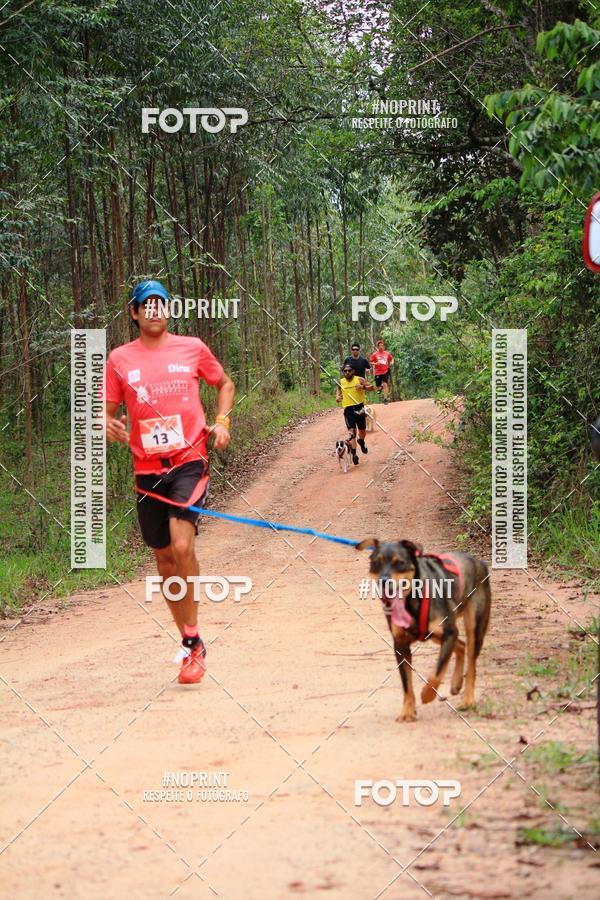 Compra tus fotos del eventoKaluan� Trail e Canicross - Irisphoto En Fotop
