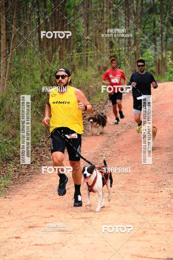 Compra tus fotos del eventoKaluan� Trail e Canicross - Irisphoto En Fotop