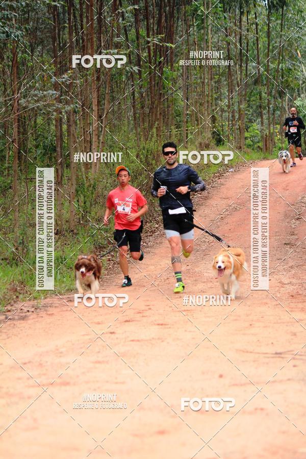 Compra tus fotos del eventoKaluan� Trail e Canicross - Irisphoto En Fotop