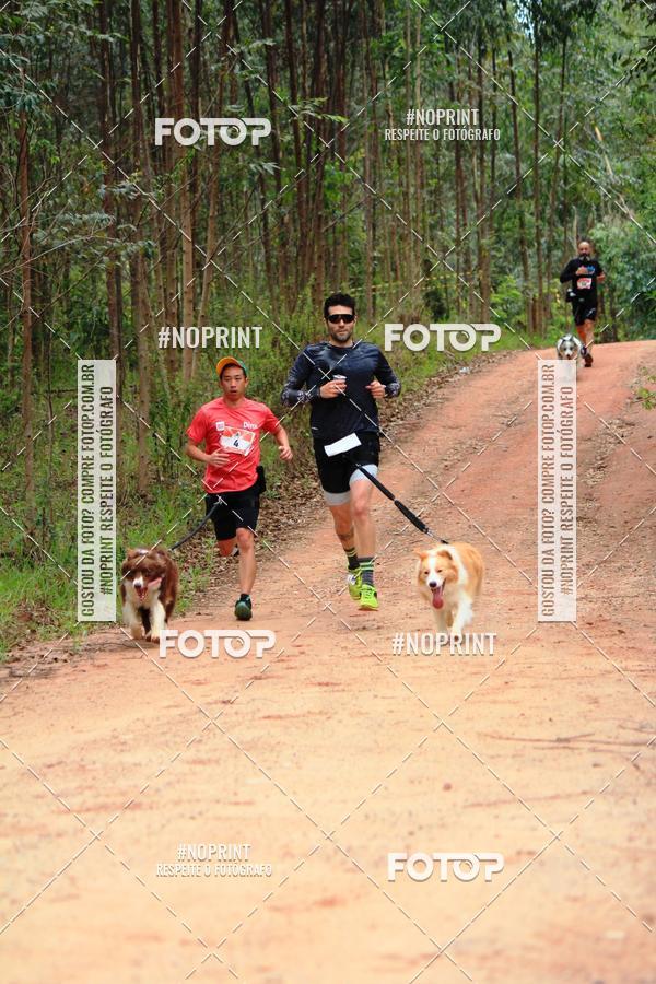 Compra tus fotos del eventoKaluan� Trail e Canicross - Irisphoto En Fotop