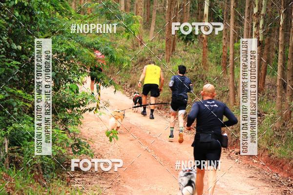 Compra tus fotos del eventoKaluan� Trail e Canicross - Irisphoto En Fotop