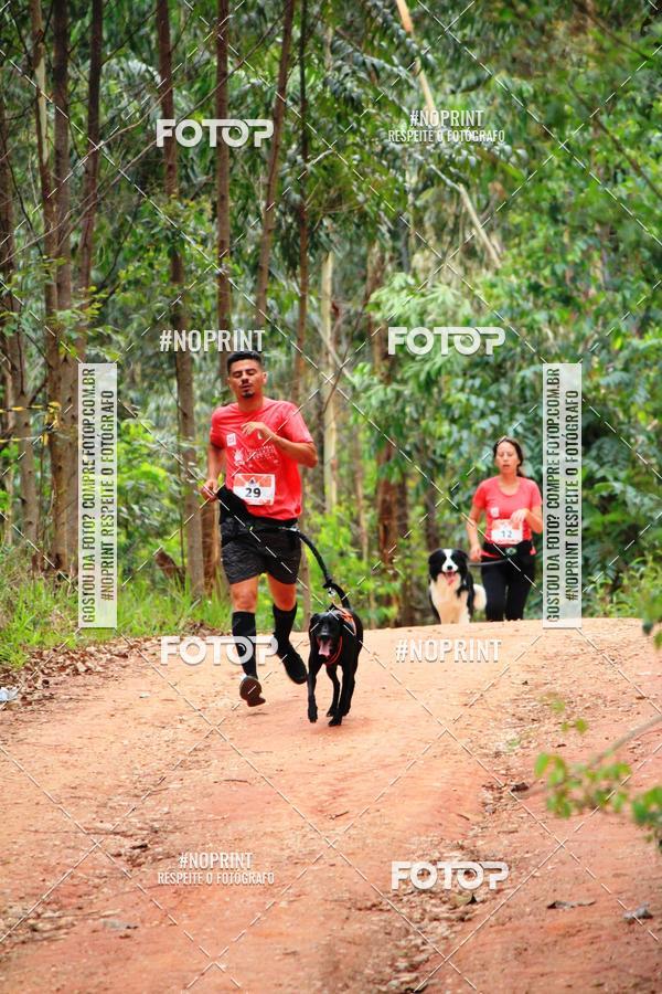 Compra tus fotos del eventoKaluan� Trail e Canicross - Irisphoto En Fotop