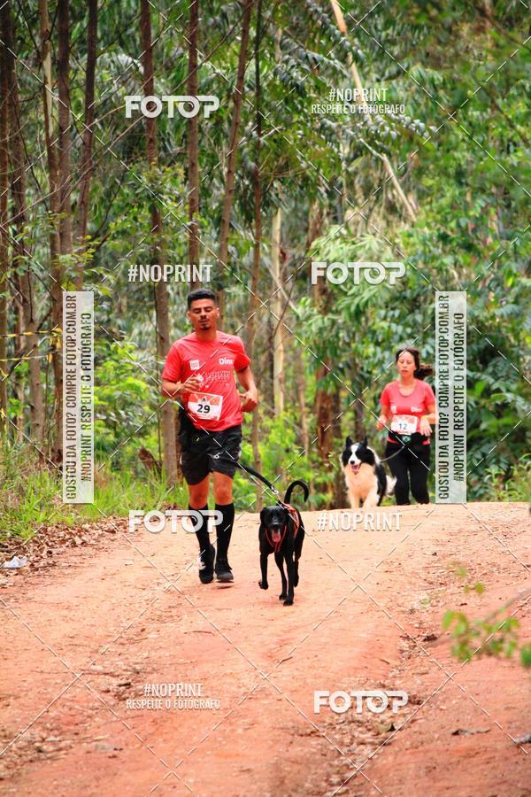 Compra tus fotos del eventoKaluan� Trail e Canicross - Irisphoto En Fotop