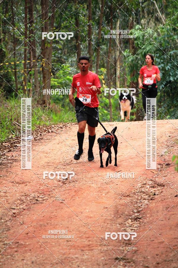 Compra tus fotos del eventoKaluan� Trail e Canicross - Irisphoto En Fotop
