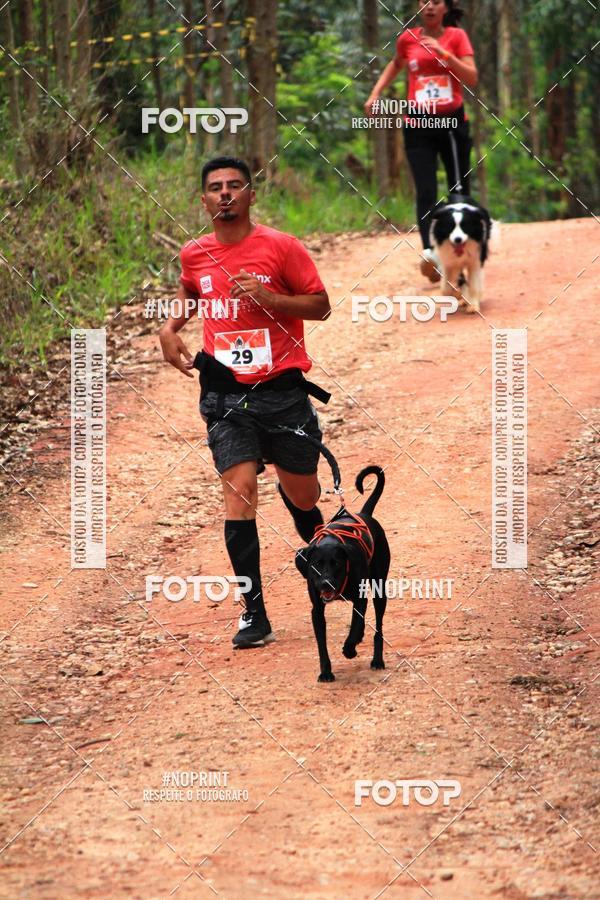Compra tus fotos del eventoKaluan� Trail e Canicross - Irisphoto En Fotop