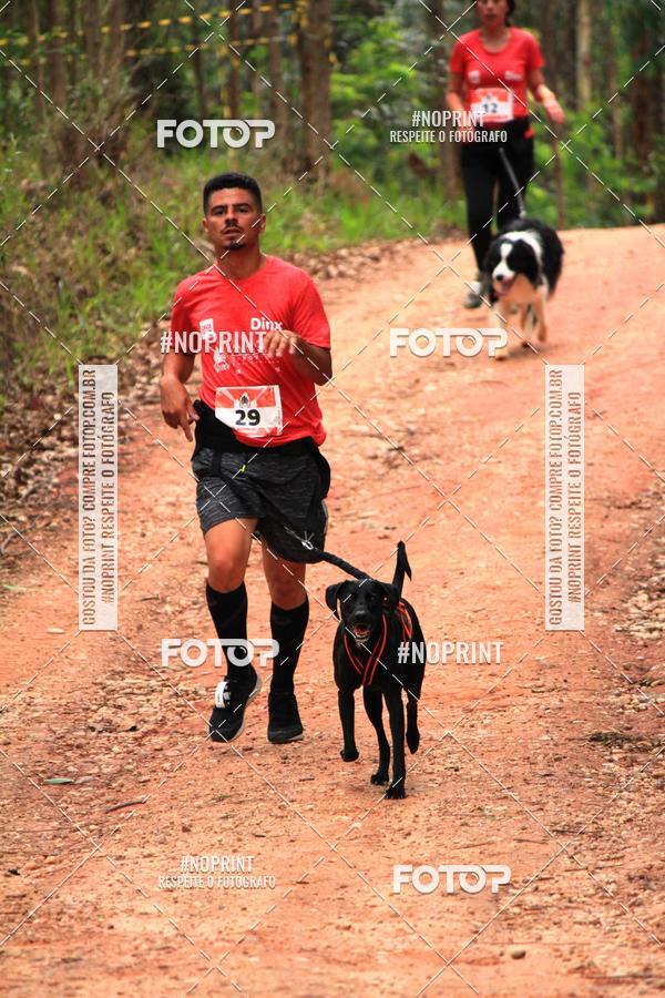 Compra tus fotos del eventoKaluan� Trail e Canicross - Irisphoto En Fotop