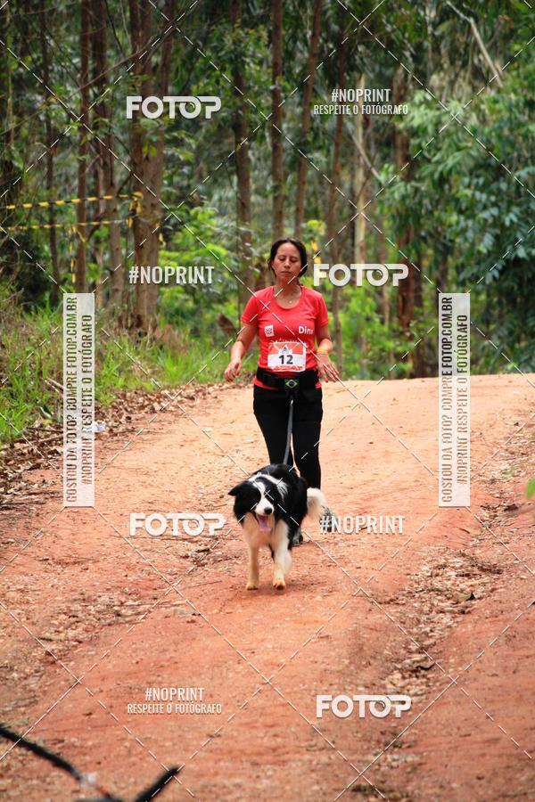 Compra tus fotos del eventoKaluan� Trail e Canicross - Irisphoto En Fotop