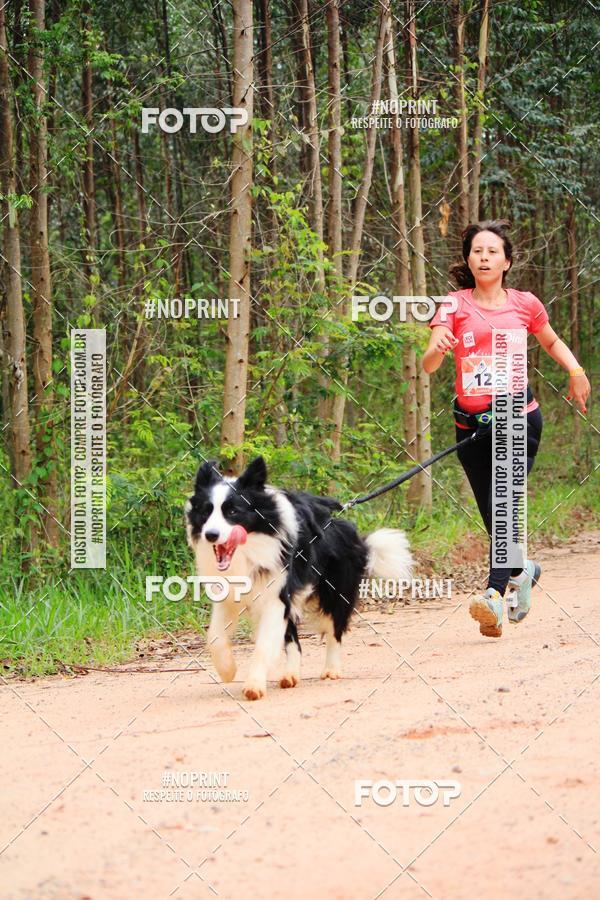 Compra tus fotos del eventoKaluan� Trail e Canicross - Irisphoto En Fotop