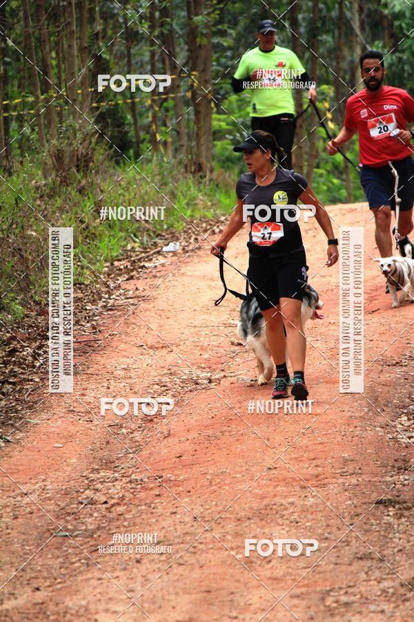 Compra tus fotos del eventoKaluan� Trail e Canicross - Irisphoto En Fotop