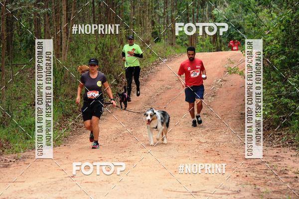 Compra tus fotos del eventoKaluan� Trail e Canicross - Irisphoto En Fotop