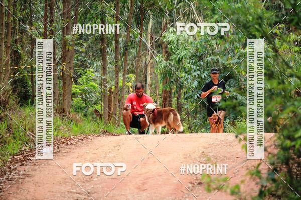 Compra tus fotos del eventoKaluan� Trail e Canicross - Irisphoto En Fotop