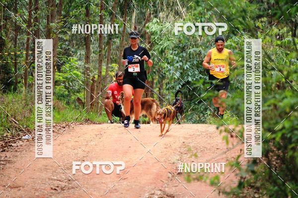Acquista le foto dell'eventoKaluan� Trail e Canicross - Irisphoto in Fotop