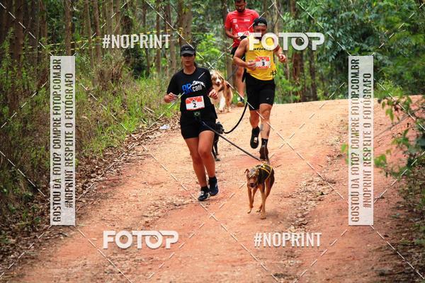 Acquista le foto dell'eventoKaluan� Trail e Canicross - Irisphoto in Fotop