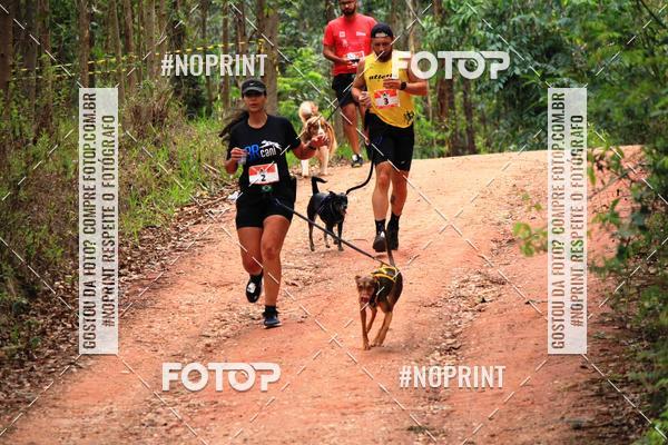 Acquista le foto dell'eventoKaluan� Trail e Canicross - Irisphoto in Fotop