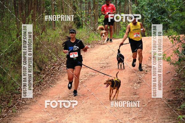 Acquista le foto dell'eventoKaluan� Trail e Canicross - Irisphoto in Fotop