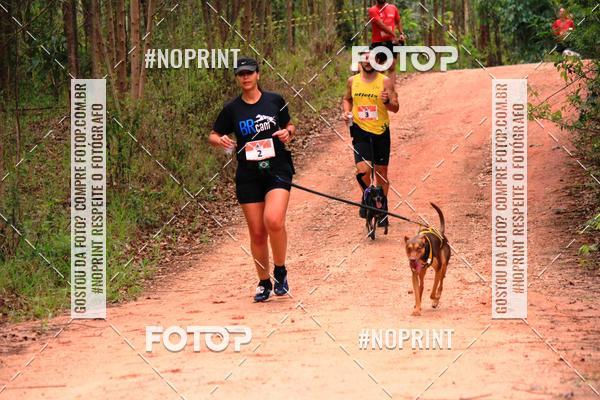 Acquista le foto dell'eventoKaluan� Trail e Canicross - Irisphoto in Fotop