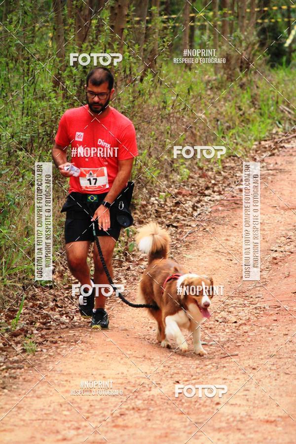 Acquista le foto dell'eventoKaluan� Trail e Canicross - Irisphoto in Fotop