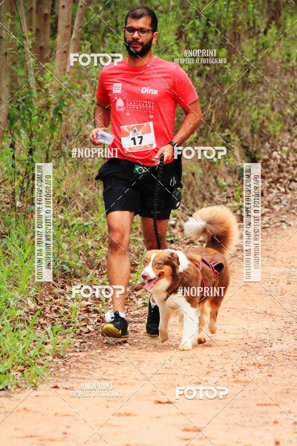 Acquista le foto dell'eventoKaluan� Trail e Canicross - Irisphoto in Fotop