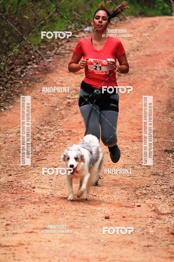 Acquista le foto dell'eventoKaluan� Trail e Canicross - Irisphoto in Fotop