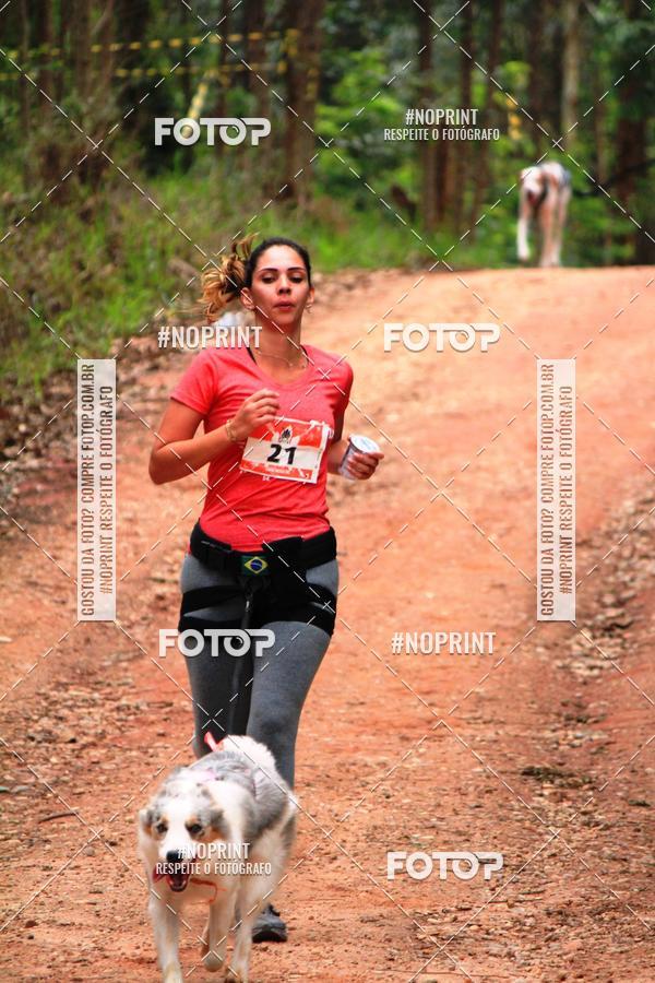 Acquista le foto dell'eventoKaluan� Trail e Canicross - Irisphoto in Fotop