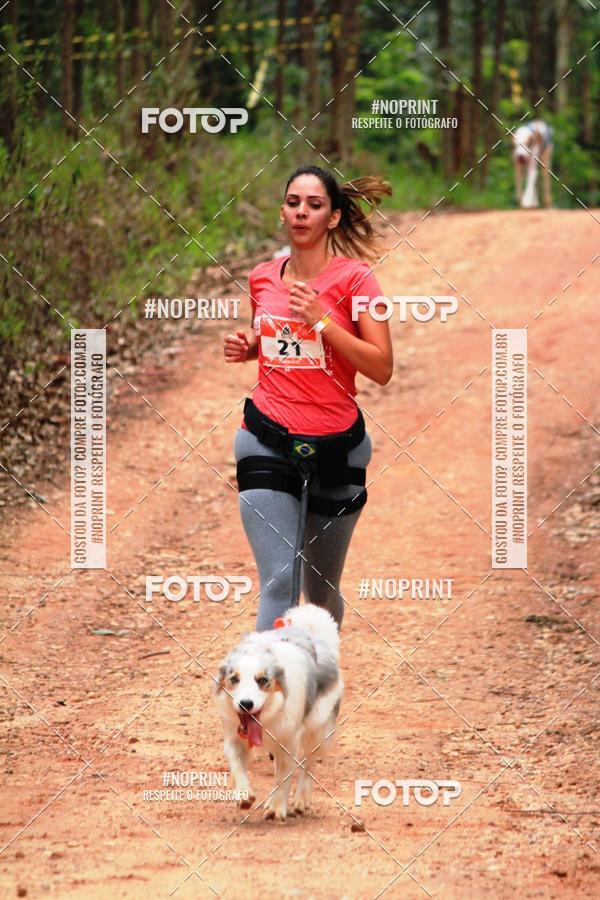 Acquista le foto dell'eventoKaluan� Trail e Canicross - Irisphoto in Fotop