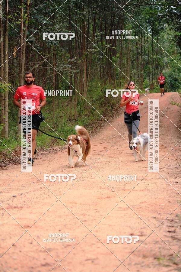 Acquista le foto dell'eventoKaluan� Trail e Canicross - Irisphoto in Fotop