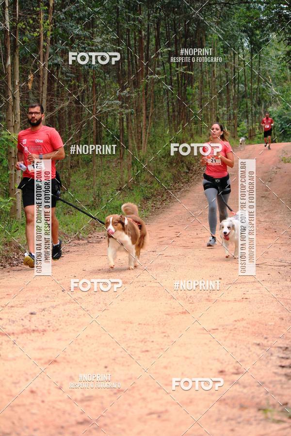 Acquista le foto dell'eventoKaluan� Trail e Canicross - Irisphoto in Fotop