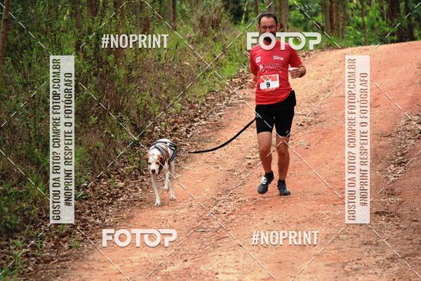 Acquista le foto dell'eventoKaluan� Trail e Canicross - Irisphoto in Fotop