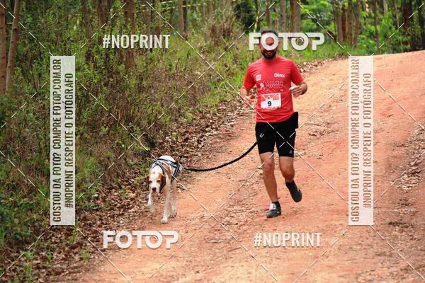 Acquista le foto dell'eventoKaluan� Trail e Canicross - Irisphoto in Fotop