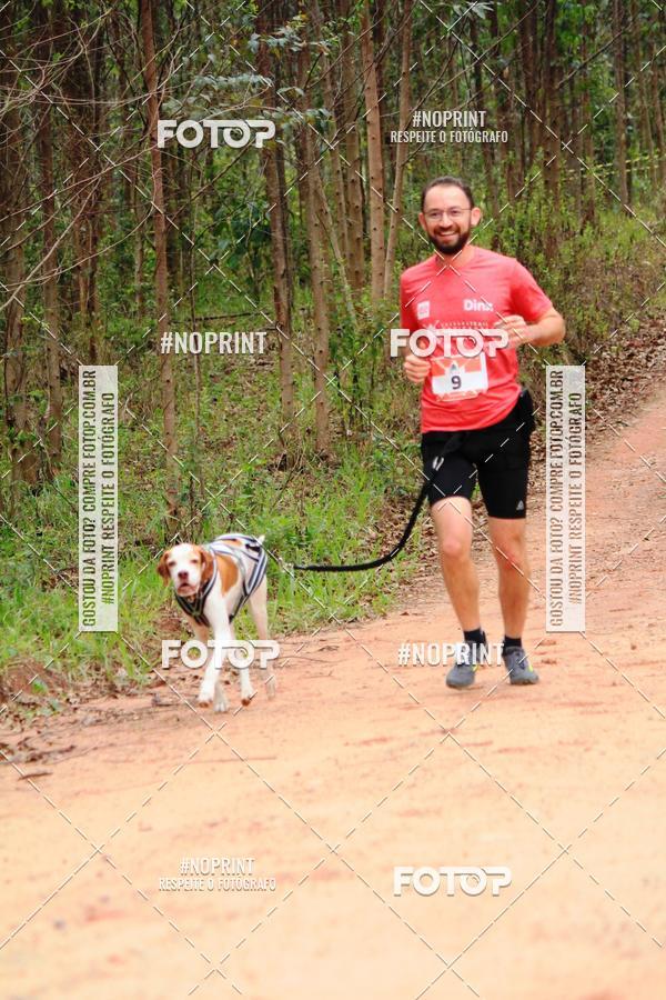 Acquista le foto dell'eventoKaluan� Trail e Canicross - Irisphoto in Fotop